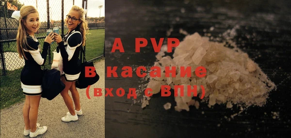крисы Алзамай