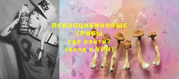крисы Алзамай